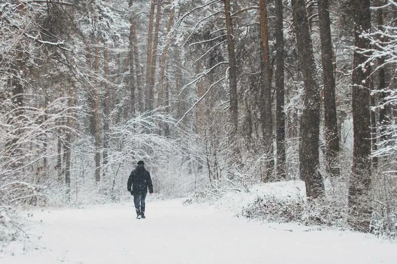 Ходить по снежному лесу. Одиночку в лесу зимой. Мужик гуляет по зимнему лесу. Одинокая фигура зимой лес.