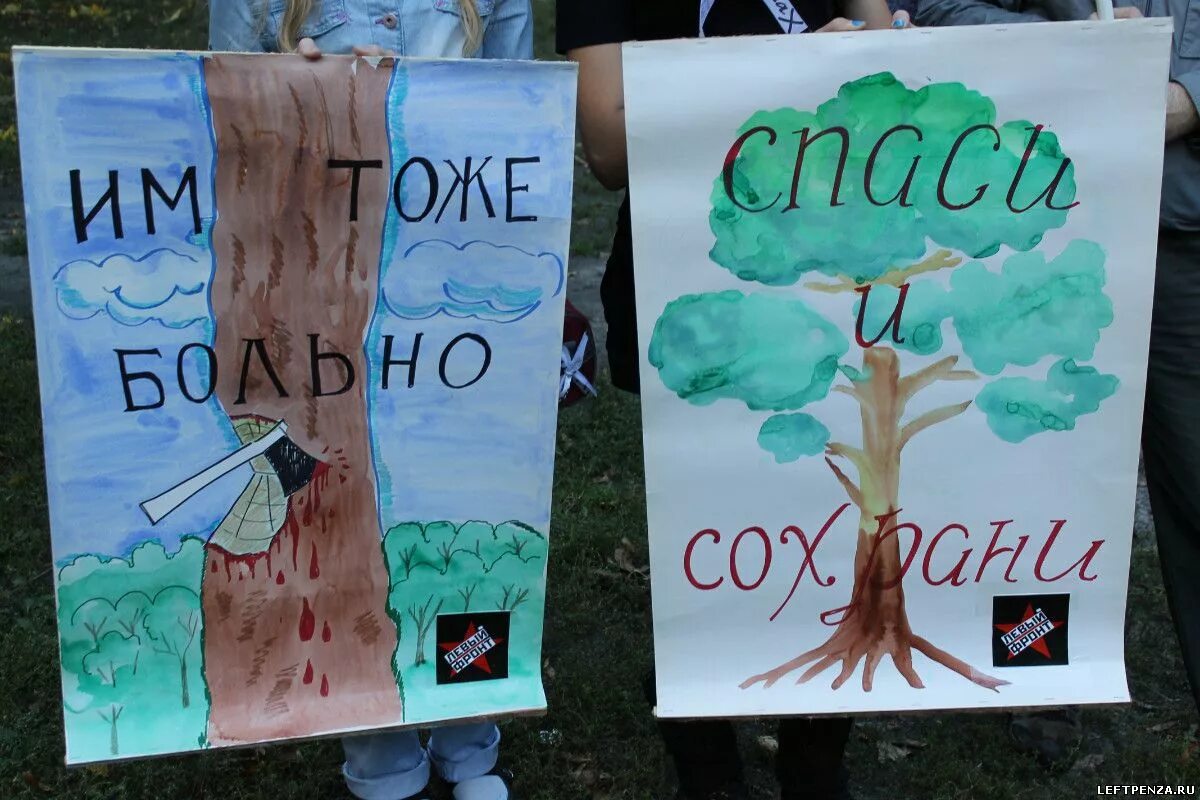 Против вырубки деревьев. Плакат спасем леса. листовки в защиту леса. плакат на экологическую тему. сохраним лес от вырубки.