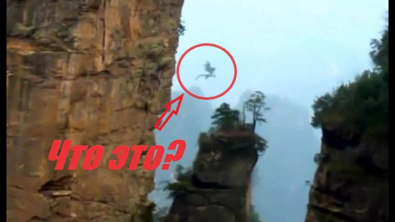 В китае засняли дракона 2020. Дракон в китае видео. Дракон в китае видео. Дракон в китае настоящий в небе. В китае проснулся дракон.