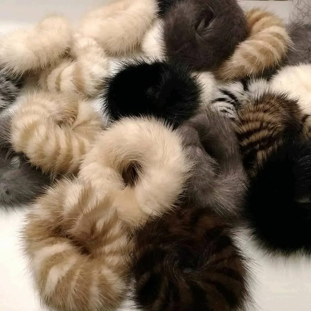 Что можно сделать со шкурок