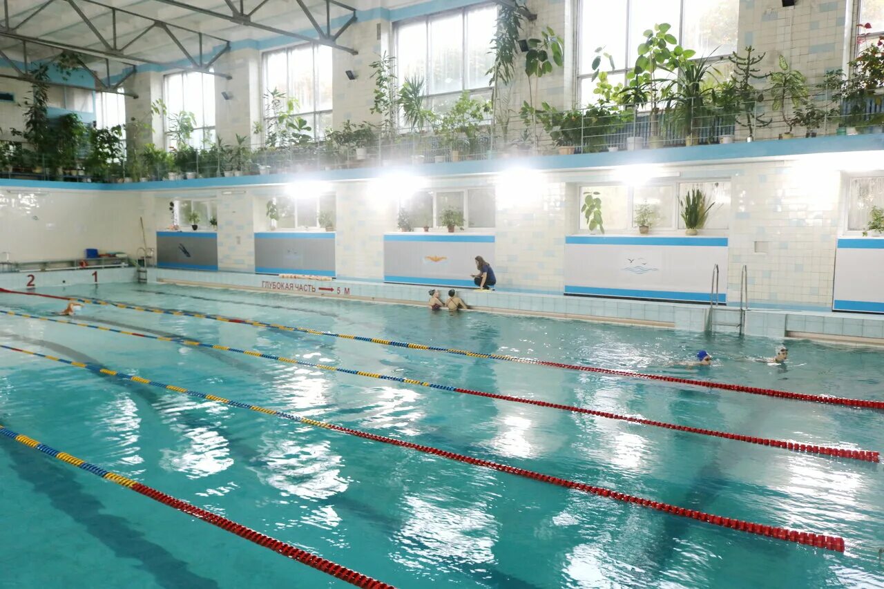 Олимпийский бассейн нальчик. Спортивный комплекс олимпийский бассейн лягушатник. Бассейн рядом с минском. Лягушатник бассейн дворец водного спорта. Бассейн рядом с минском.