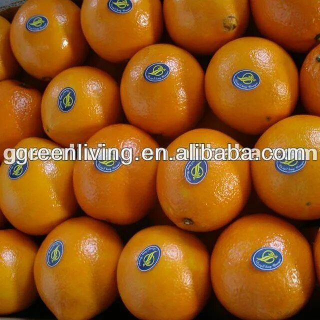 Апельсины страны производители. Апельсины Lamar. Ламар апельсин. Al Masoud апельсины Страна происхождения.