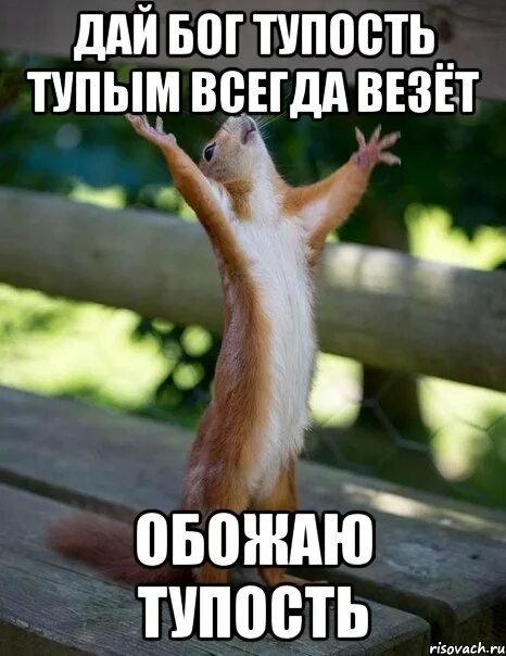 я очень рада тебя видеть. рада что вы есть у меня. эта маленькая крошка рада даже хлебной крошке потому. открытка гостям всегда рады. даже была рада.