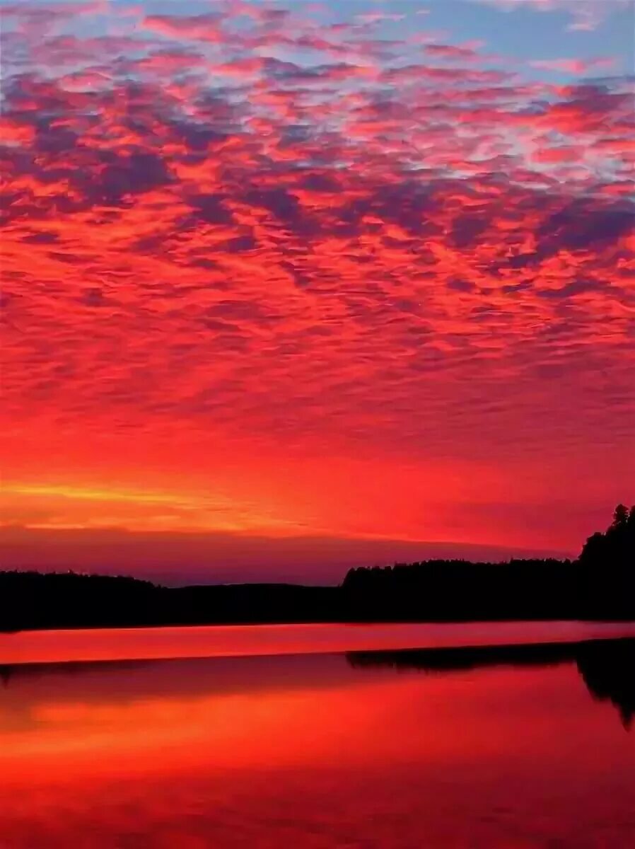 Алый закат рингтон. Кровавый рассвет. Багровое зарево есенин. Алый закат. Алый закат enrasta.