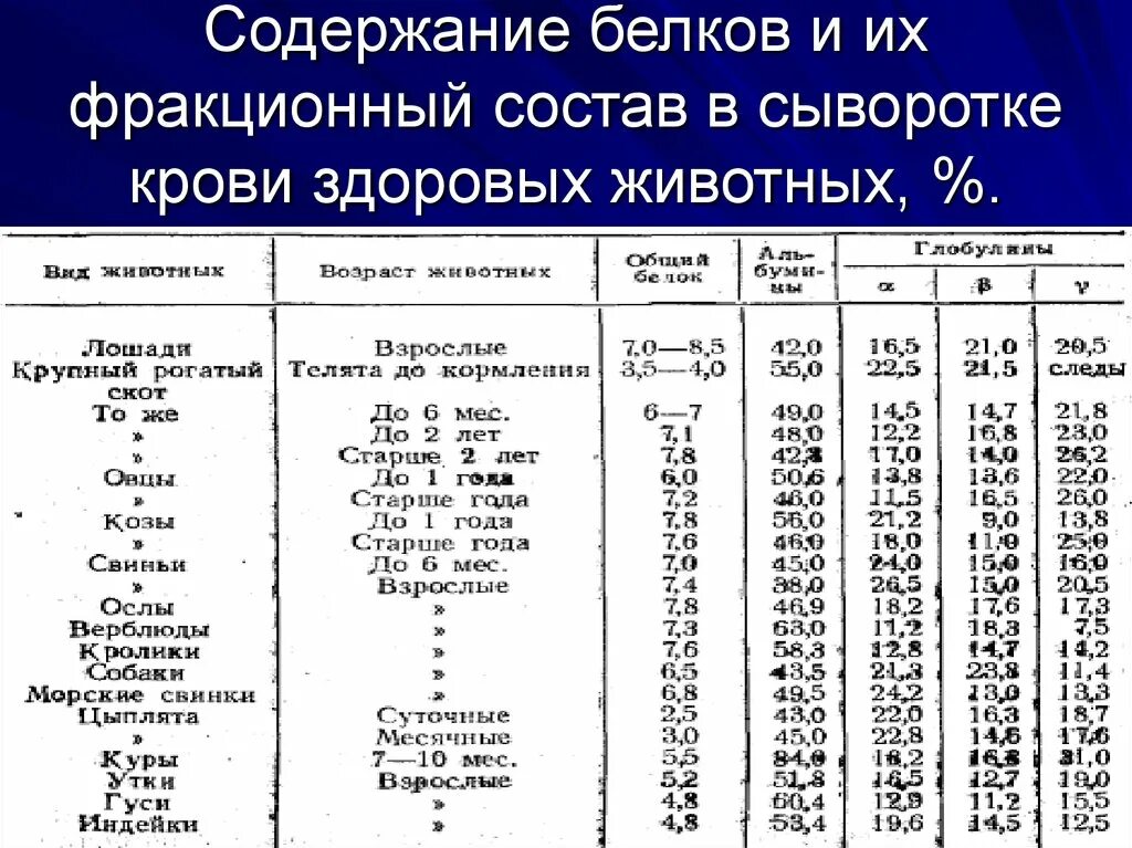 Общий белок состав