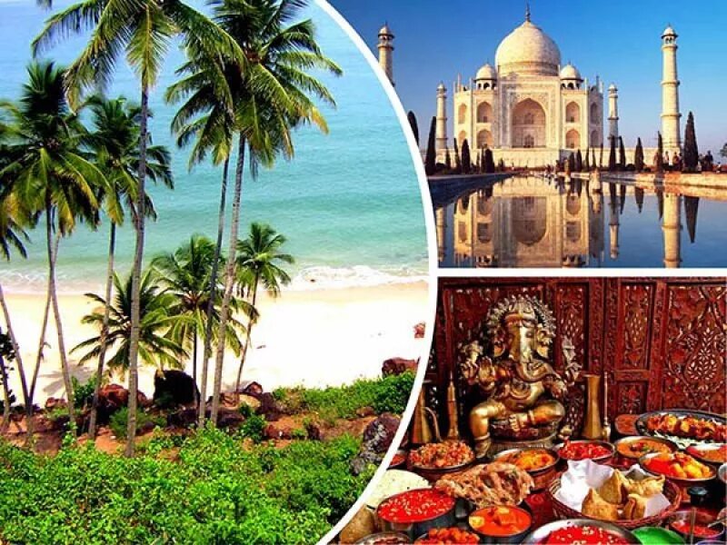 Индия экскурсии из гоа. Развлечения в индии для туристов. Туристы в индии. Индия коллаж. Форт амбер слоны.