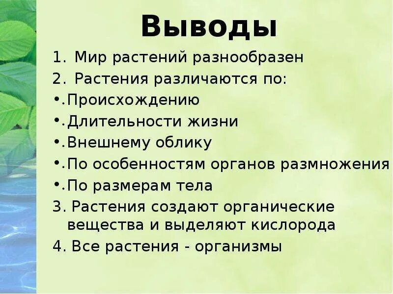 Вывод про растения. Характеристика царства растений. Вывод по царству растений. Заключение о растениях. 5 основных признаков растений