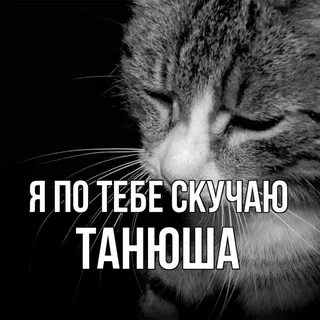 Я по тебе скучаю катя