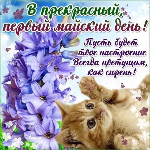 Последним майским днем