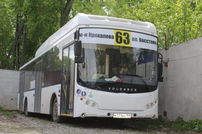 Автобусы Пермь. Сити бас автобус. Садовый автобус. 63 Автобус Пермь.