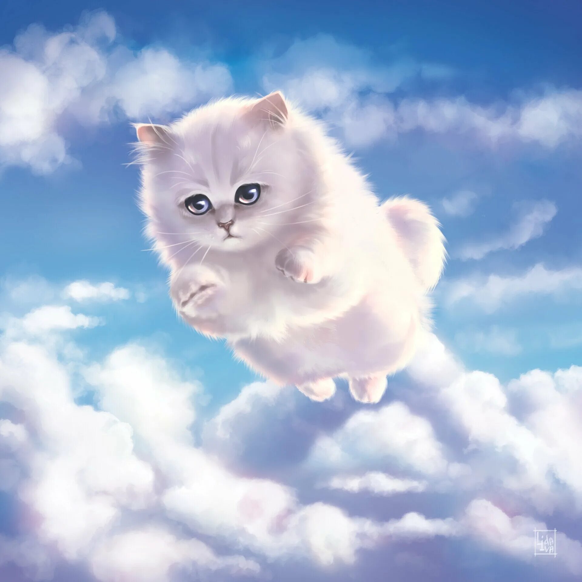Кот облачко. Кот облако. котик облачко. пушистое облачко. коты в облаках.