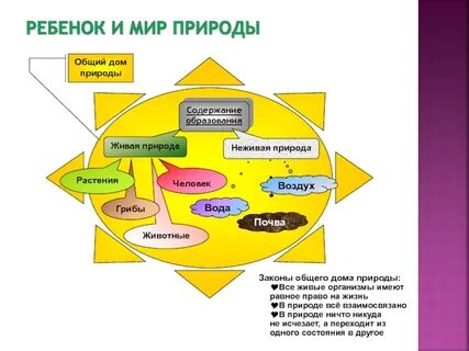 В природе нет ничего