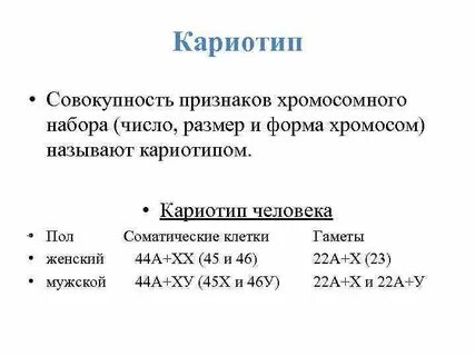 Кариотип совокупность признаков