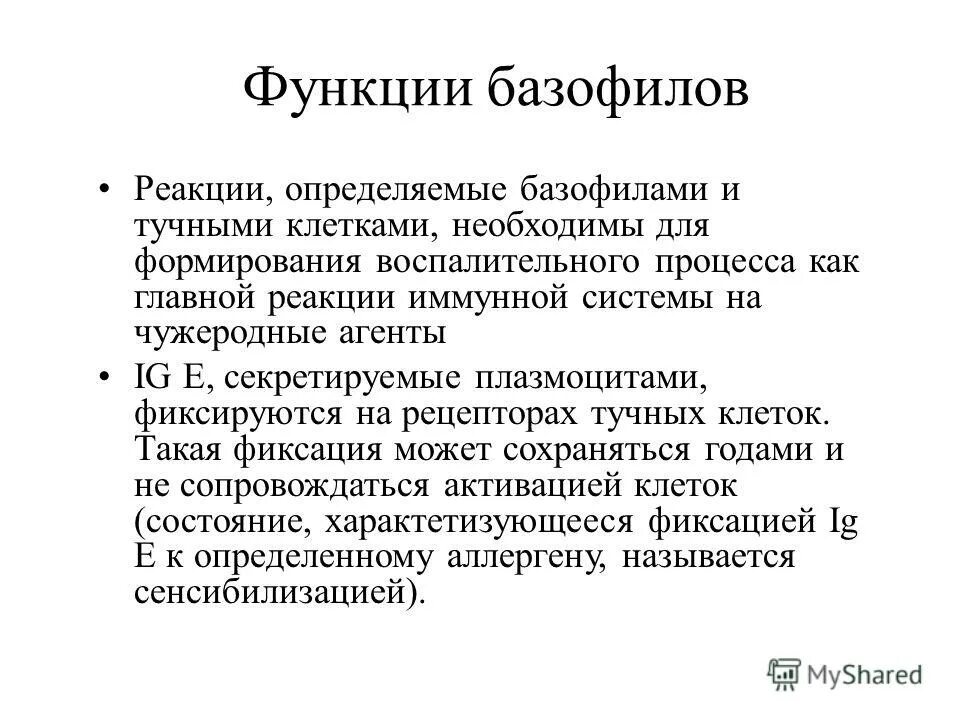 Функции базофилов в крови. Функции базофилов в крови. Базофилы функции иммунология. Функции гранул базофилов. Функции базофилов.