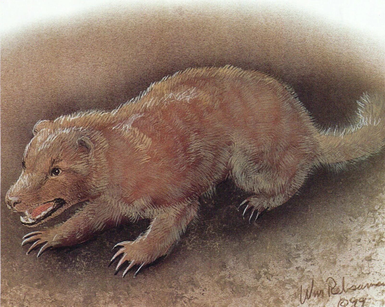 Земляная мышь в мифологии. Земляная мышь в мифологии. Мышиный серый. Мышь в мифологии. Крыса священное животное.