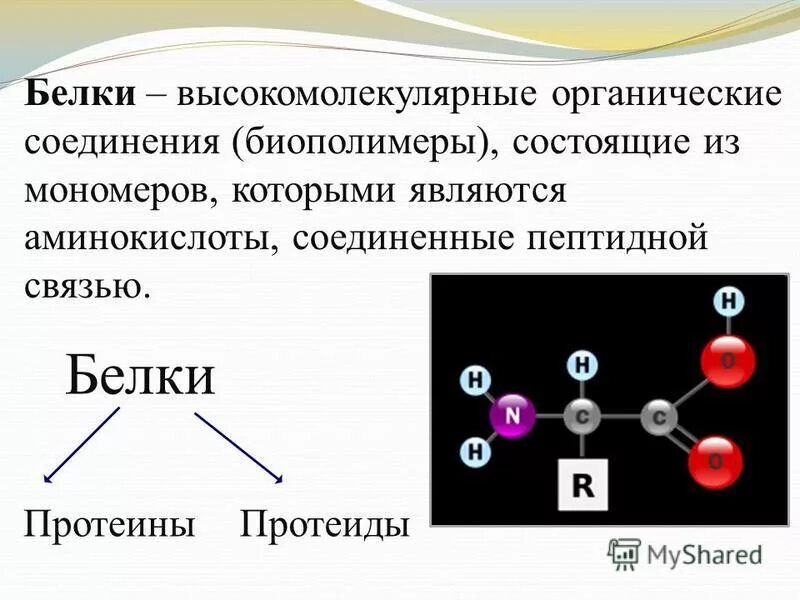 Соединение не являющееся биополимером. Мономеры соединены ковалентными пептидными связями. Мономеры связаны пептидной связью. Мономеры соединены пептидными связями. Мономеры белков.