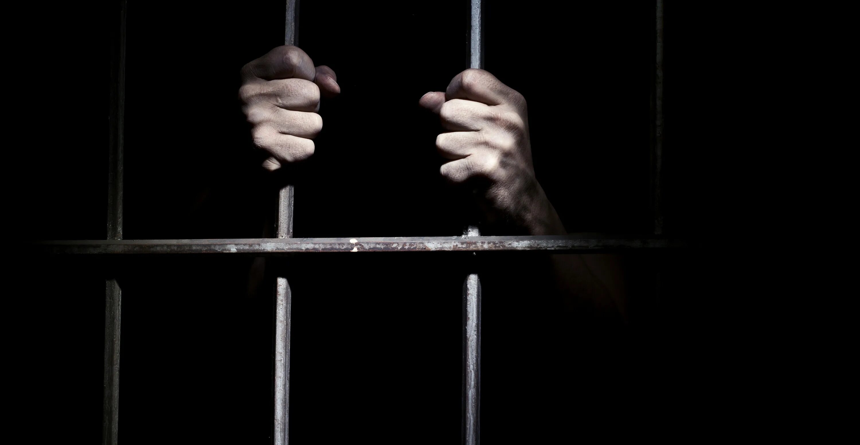 Through the bars