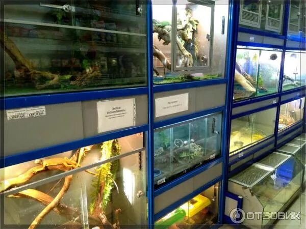 Зоомагазин казань. Проспект ибрагимова 63а. Зоознаток кисловодск. Зоомагазины в москве. Зоомагазин кисловодск фоменко.