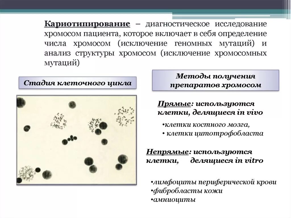 Кариотипирование лимфоцитов периферической крови. Цитологическое исследование крови кариотип. Кариотипирование хромосом. Кариотипирование исследование. Культивирование лимфоцитов периферической крови