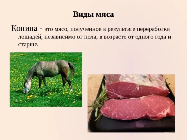 Можно есть конину мусульманам. Виды мяса. Виды мяса животных. Традиционные виды мяса.