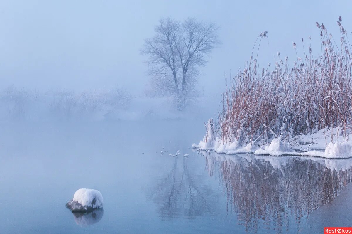 морозное дыхание зимы фото. прощальное дыхание. дыхание зимы конкурс 2023. природа дыхание зимы. зимнее дыхание.