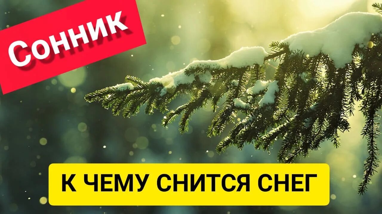 Приснился снег к чему. Снится белый снег. К чему снится снег белый. Видеть во сне снег белый к чему снится. Приснился сугроб