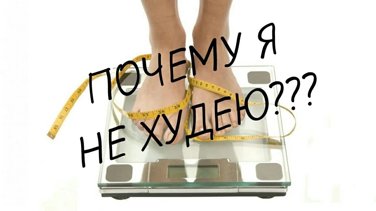 Ни ест ничего