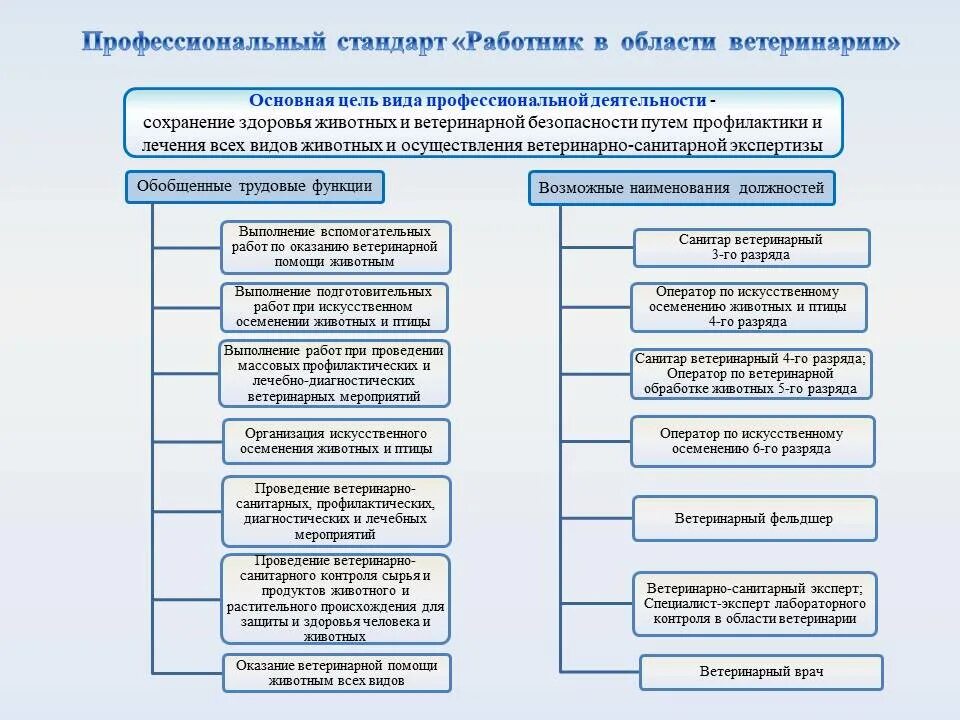 Заместитель главного врача профстандарт