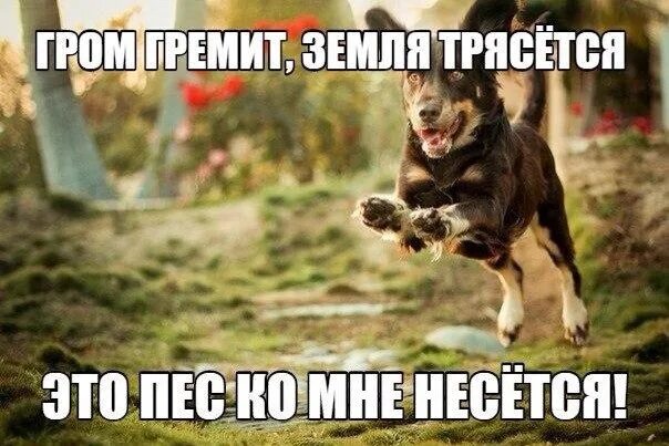 Вся земля трясется. Гром гремит земля. гром гремит земля трясется это несется. стишок гром гремит земля трясется. гром гремит земля трясется продолжение.