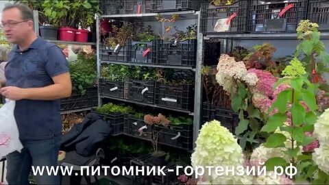 Фазенда выставка 2024 году в москве