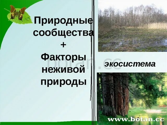 Какие природные сообщества встречаются в природе