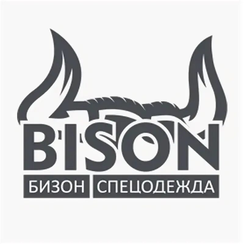 Bison компания. Bizone компания. Компания Бизон Ростов.