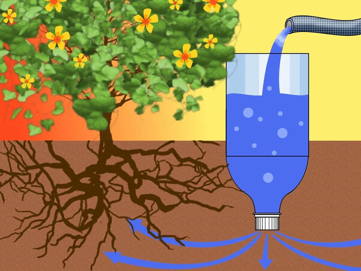 Полить соленой водой. Система капельного полива из пластиковых бутылок. Внутрипочвенный полив схема. Прикорневой капельный полив пластиковая бутылка. Капельная система полива своими руками из бутылок.