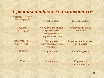 Анаболизм это