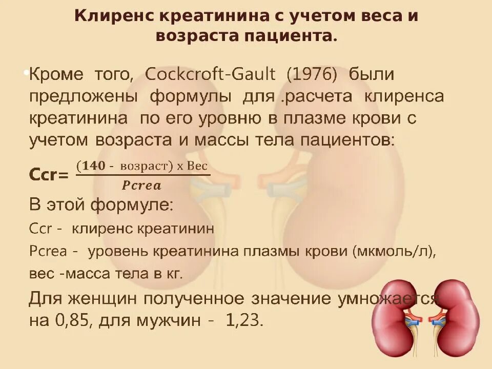 Повышение креатинина. Клиренс эндогенного креатинина норма. Креатинин что это такое в крови. Креатинин почки. Показатели почек креатинин.