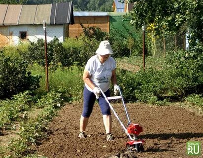 Земля садовая и огородная