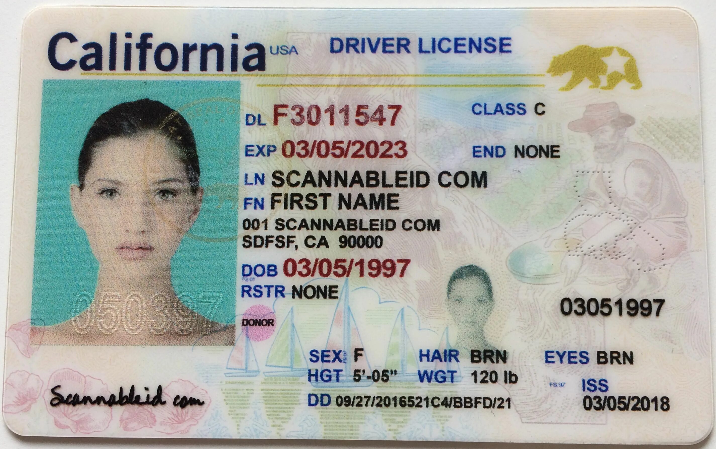 License us. Американская ID карта.