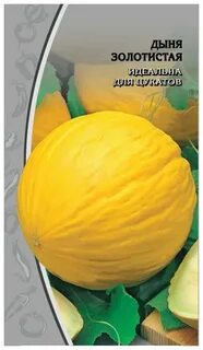 Дыня золотистая