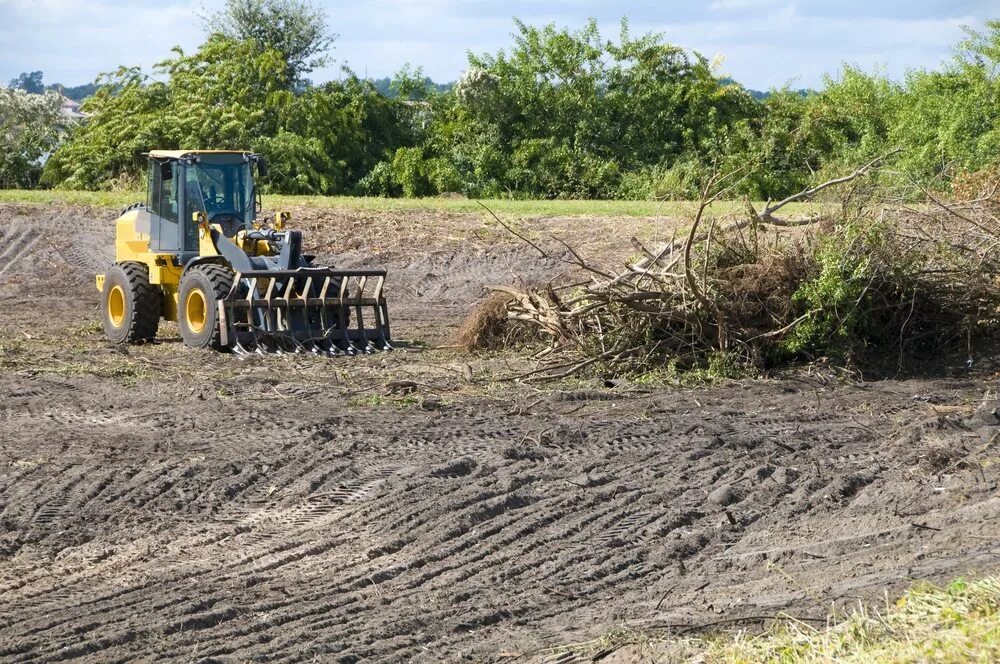 Clearing land. Land clearing. Land clearing and Leveling Machines. Clearing. Clearing a landing site in Asia.