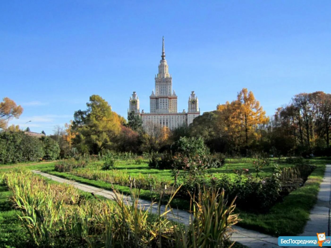 Ботанический сад мгу москва отзывы. Ботанический сад МГУ Москва. Ботанический сад МГУ им. Ломоносова м.в.. Ботанический сад МГУ на Ленинских горах. Ботанический сад Москва МГУ Ломоносов.