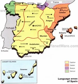 Language areas