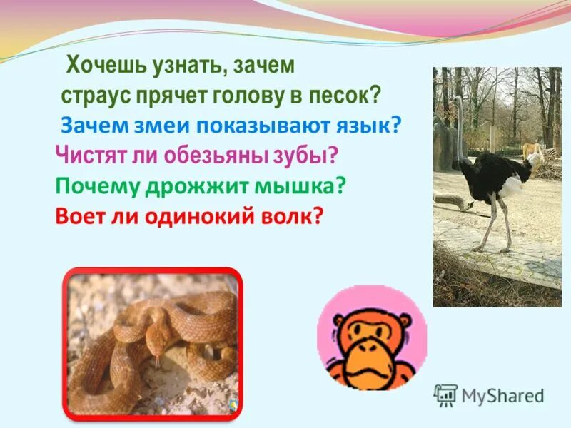 ты хочешь узнать причину моего счастья прочитай первое слово. зачем нужна технология в школе. хочу узнать почему. хочешь найдешь время не хочешь найдешь причину. кто не хочет ищет причины.