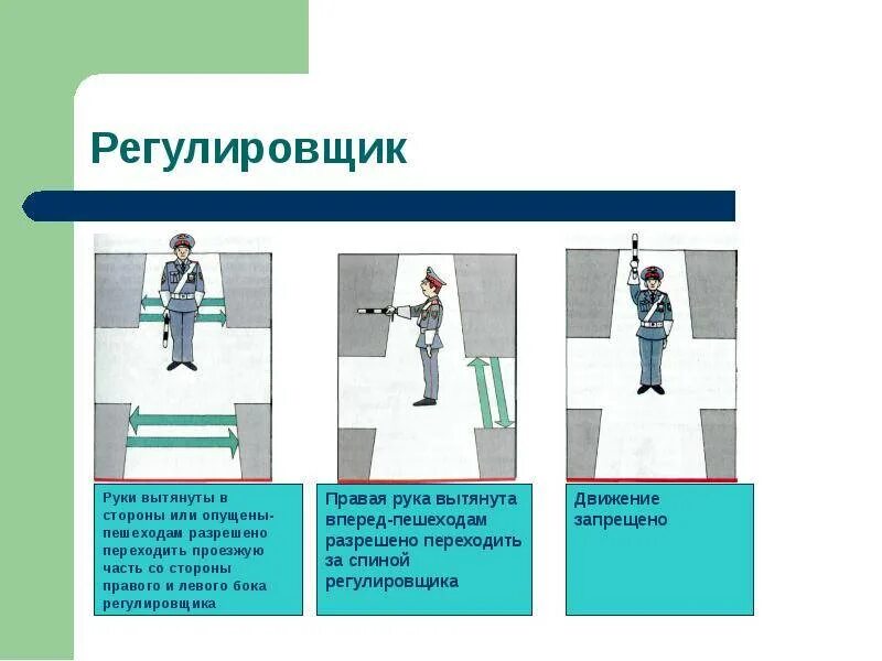 Какой сигнал регулировщика запрещает движение пешеходам. Сигналы регулировщика для пешеходов. пдд сигналы регулировщика для пешеходов. сигналы регулировщика в картинках с пояснениями для пешеходов детей. жесты регулировщика для пешеходов.