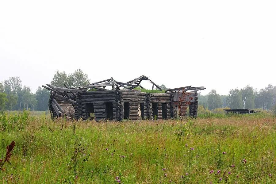 погода в мехонском рп 5