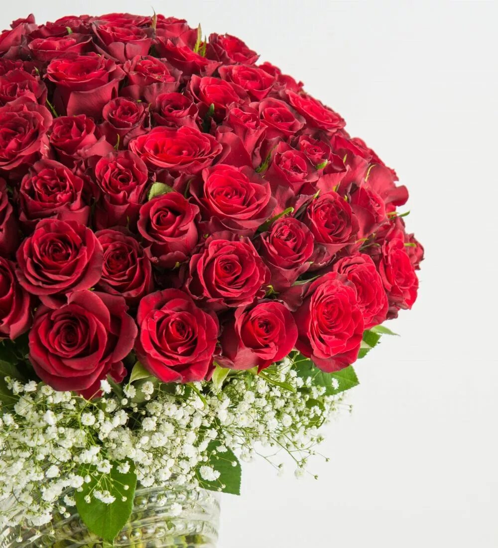 роза. атргул. гулар дунеси. чиройлик гулар. гул со стороны.