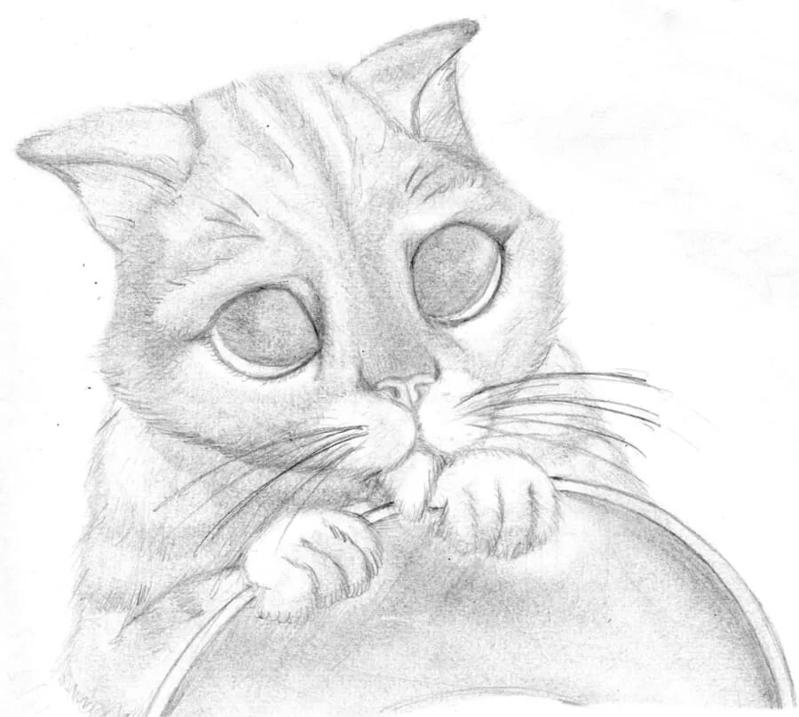 Картинки нарисованные котики легкие. Красивые рисунки карандашом. Котик рисунок карандашом. Красивые рисунки карандашом для срисовки. Картины карандашом для срисовывания.
