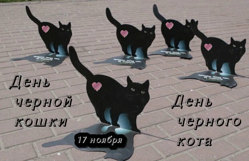 Кошки 9 мая. День черной кошки. 17 ноября праздник день черной кошки. день черного кота 17 ноября. день защиты черных котов и кошек.