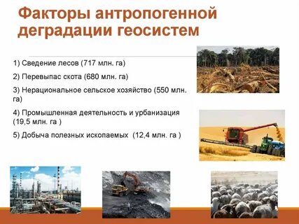 Загрязнения и деградация почвы
