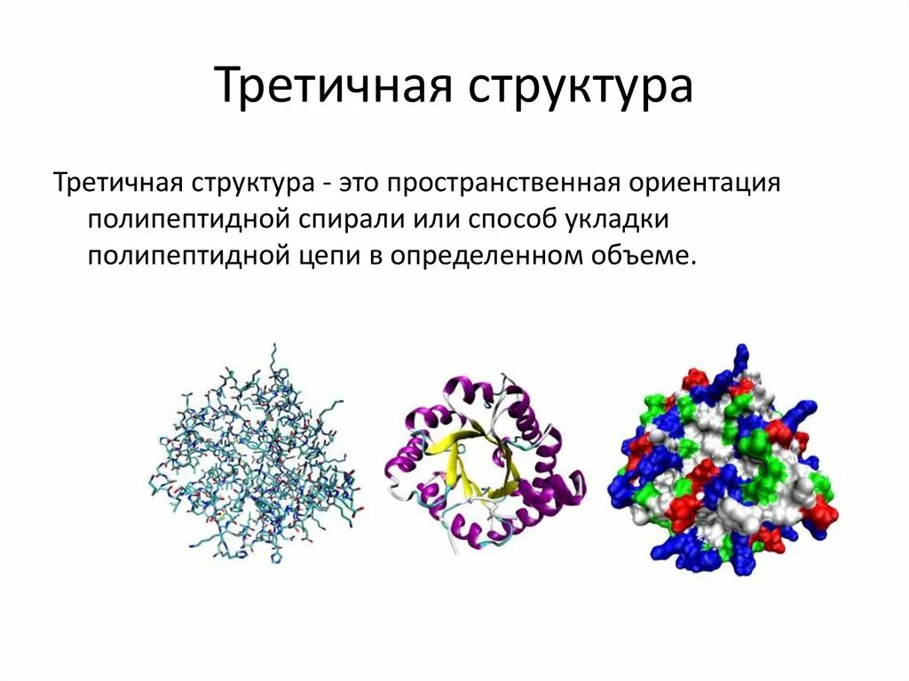 Каждый белок имеет строго определенную пространственную структуру. Белки пространственная структура. третичная структура белка строение. третичная структура белка химия. фибриллярный белок четвертичной структуры.
