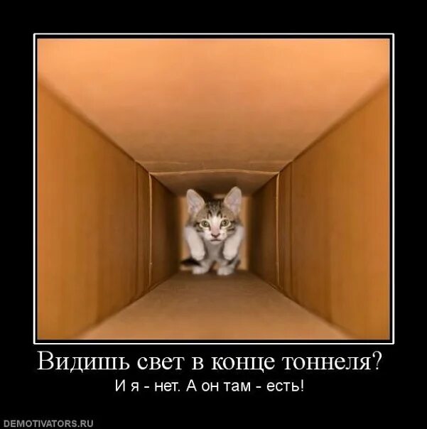 В конце туннеля виден свет. Шутки про свет в конце тоннеля. Я вижу свет в конце тоннеля. Свет в конце тоннеля прикол. Видим свет в конце тоннеля.